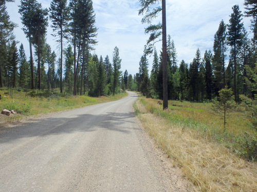 GDMBR: The sizes of the trees were decreasing.